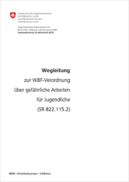 wegleitung_gef_arbeit_jugend_de