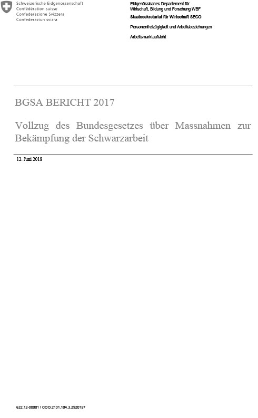 BGSA-Bericht_2017