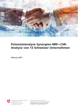Potenzialanalyse NRP + CSR
