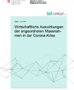 bss_schlussbericht_wirtschaftliche_auswirkungen_corona_massnahmen