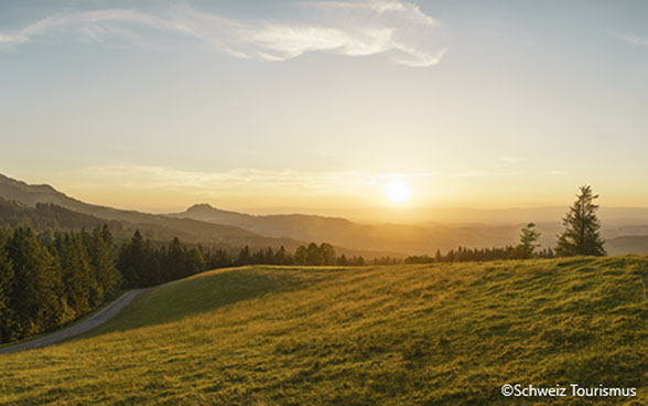 brennpunkt_newsletter_tourismus