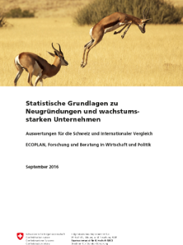 Studie_wachstumsstarke_Unternehmen